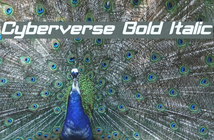 Cyberverse Bold Italic Font examples