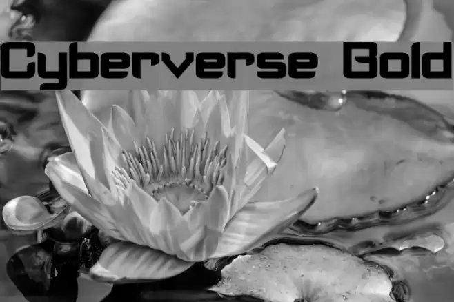 Cyberverse Bold Font examples