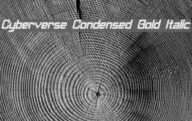 Cyberverse Condensed Bold Italic Font examples