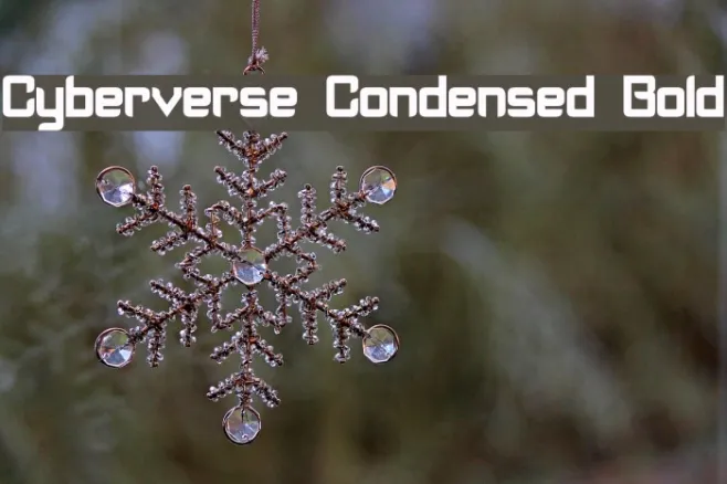 Cyberverse Condensed Bold Example 2