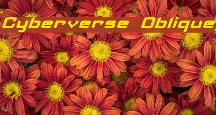 Cyberverse Oblique Font examples