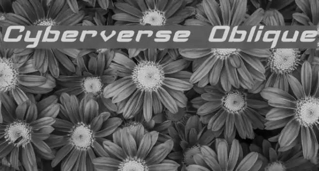 Cyberverse Oblique Шрифта examples