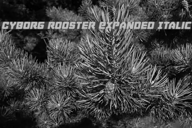 Cyborg Rooster Expanded Italic Font examples