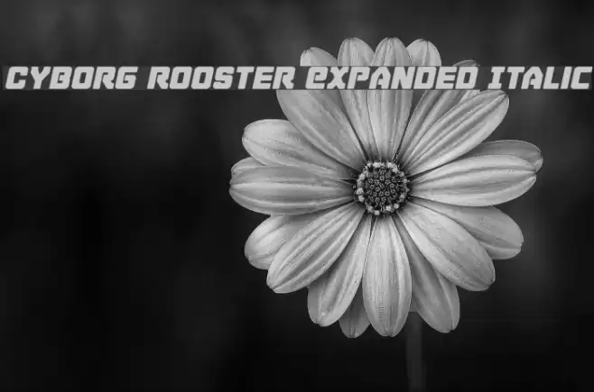 Cyborg Rooster Expanded Italic Font examples