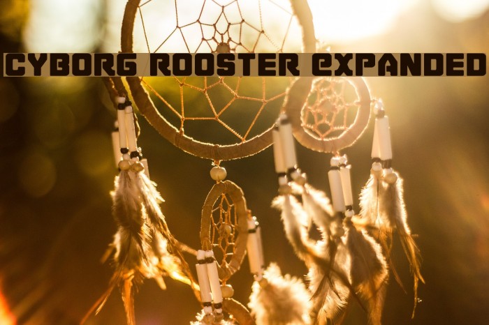 Cyborg Rooster Expanded Font examples