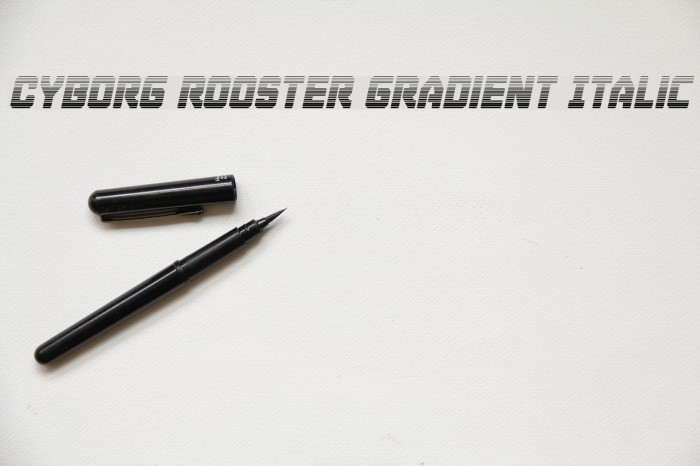 Cyborg Rooster Gradient Italic Font examples