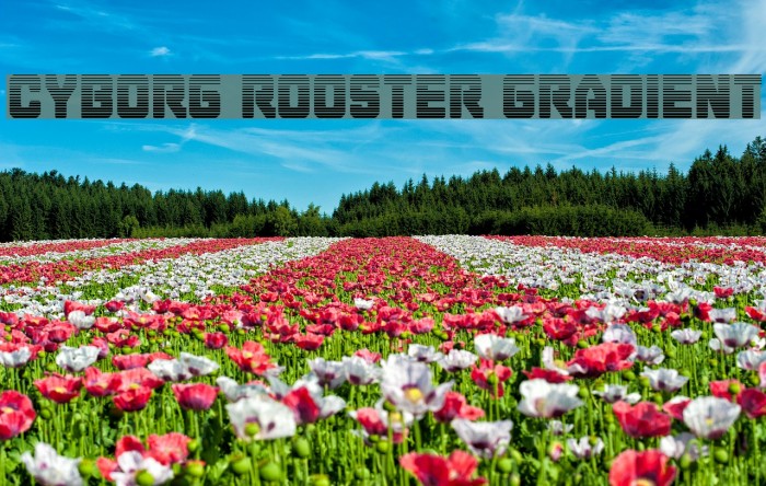 Cyborg Rooster Gradient Font examples