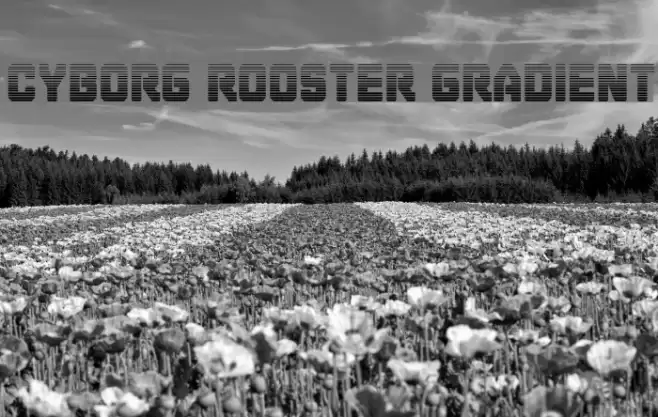 Cyborg Rooster Gradient Font examples