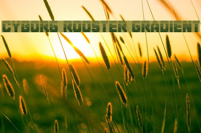 Cyborg Rooster Gradient Font examples