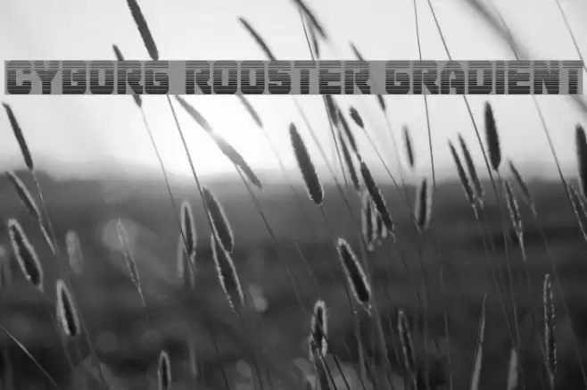 Cyborg Rooster Gradient Font examples