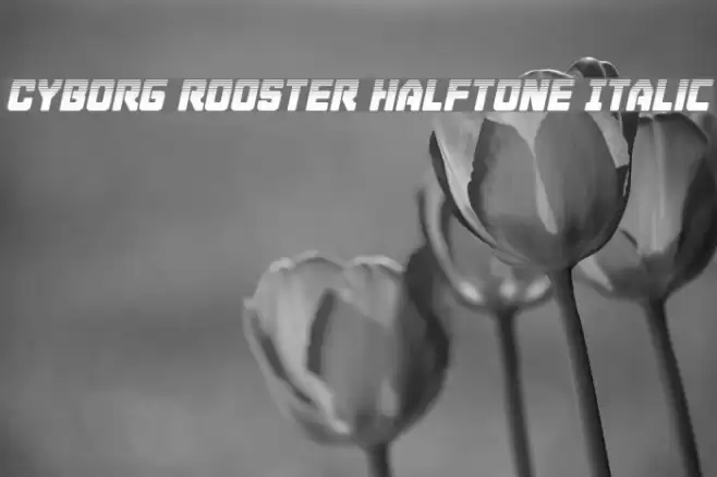Cyborg Rooster Halftone Italic Font examples