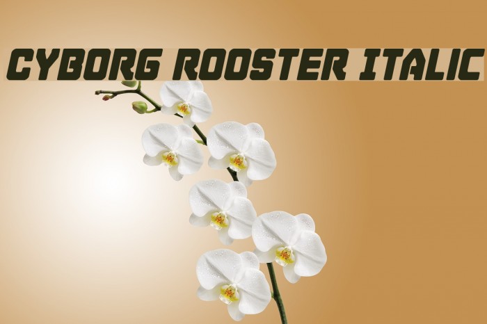 Cyborg Rooster Italic Font examples