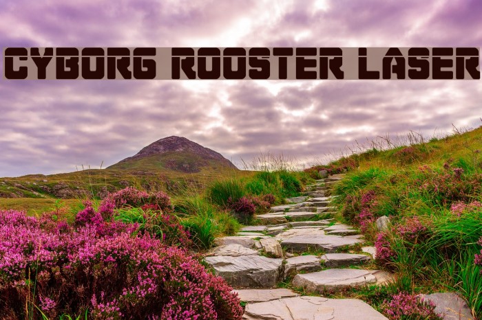 Cyborg Rooster Laser Font examples