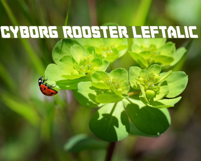 Cyborg Rooster Leftalic Font examples