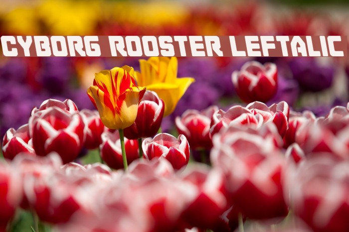 Cyborg Rooster Leftalic Font examples