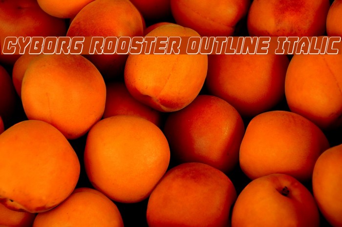 Cyborg Rooster Outline Italic Font examples