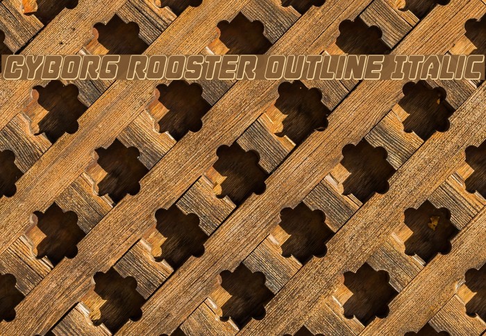 Cyborg Rooster Outline Italic Font examples
