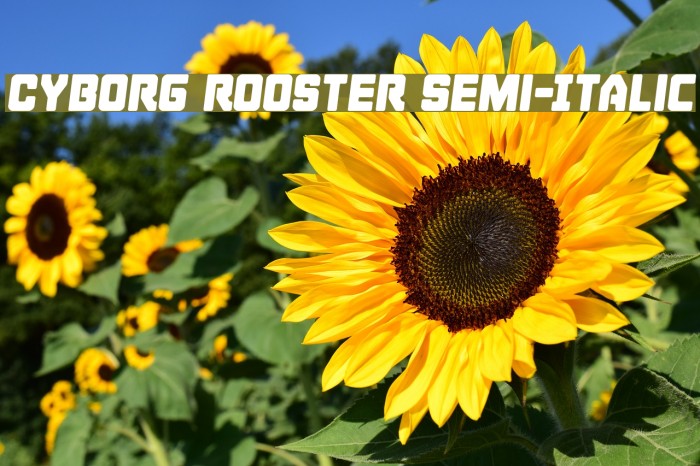 Cyborg Rooster Semi-Italic Font examples