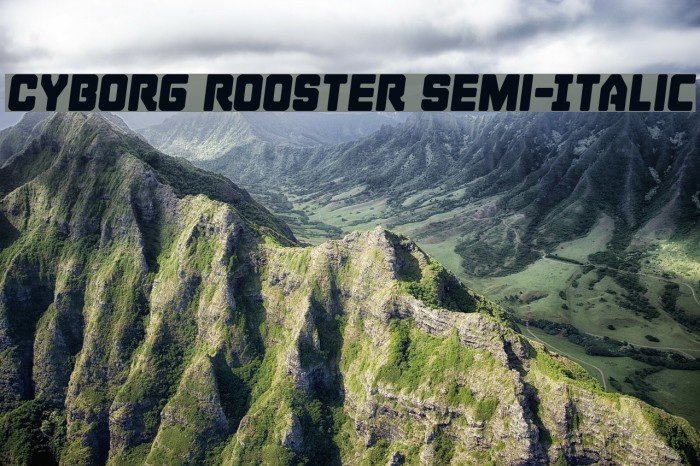 Cyborg Rooster Semi-Italic Font examples