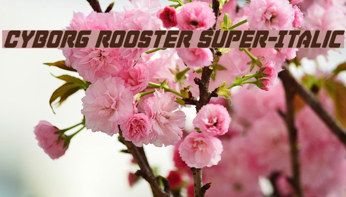 Cyborg Rooster Super-Italic Font examples