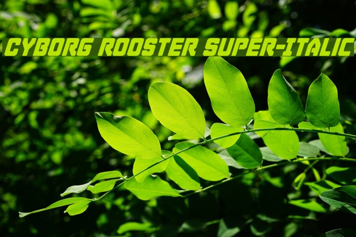 Cyborg Rooster Super-Italic Font examples