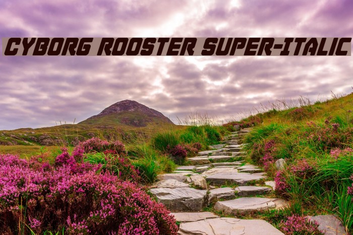 Cyborg Rooster Super-Italic Font examples