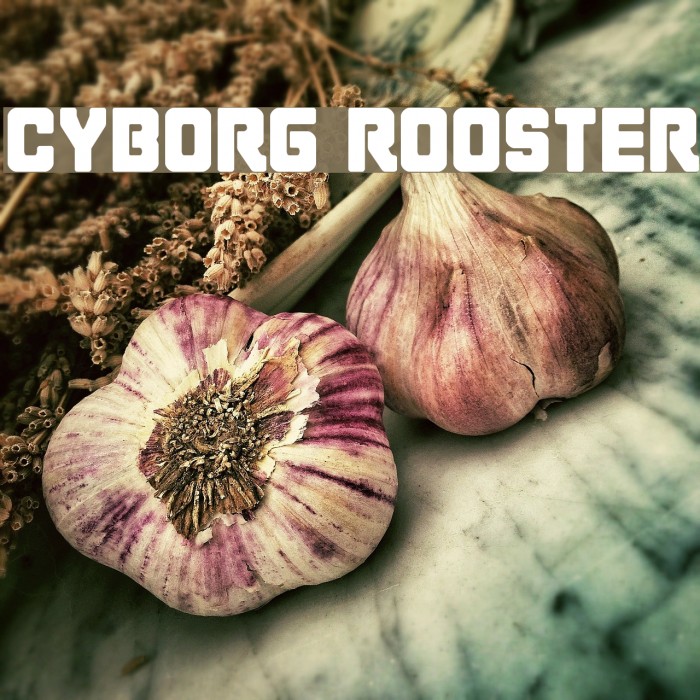 Cyborg Rooster Font examples