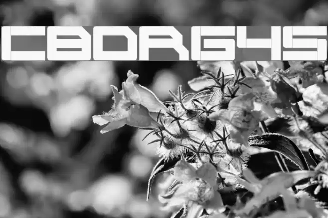 Cyborg45 Font examples