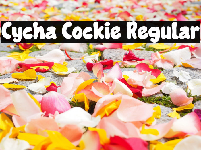 Cycha Cockie Regular Example 1