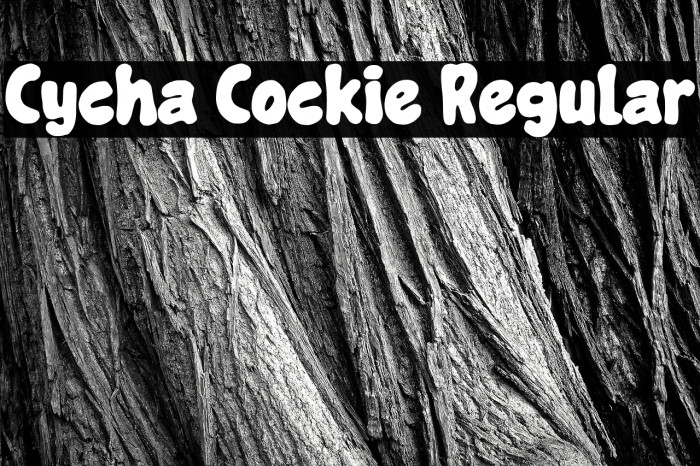 Cycha Cockie Regular Example 3