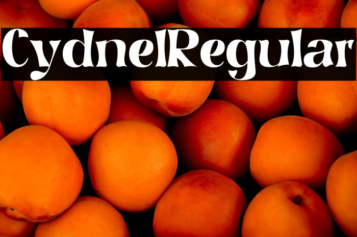 Cydnel Regular Example 1