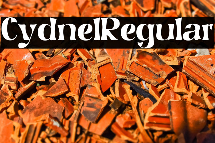 Cydnel Regular Example 2