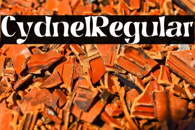Cydnel Regular Example 2