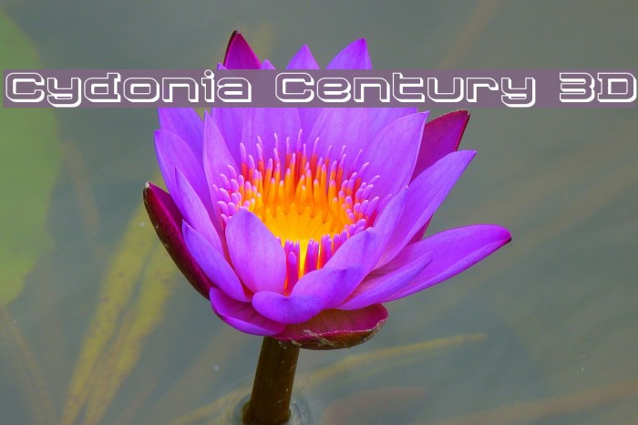 Cydonia Century 3D Font examples