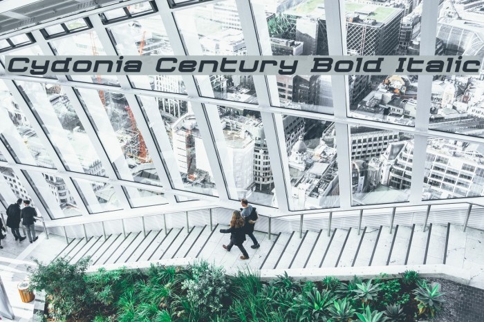 Cydonia Century Bold Italic Font examples