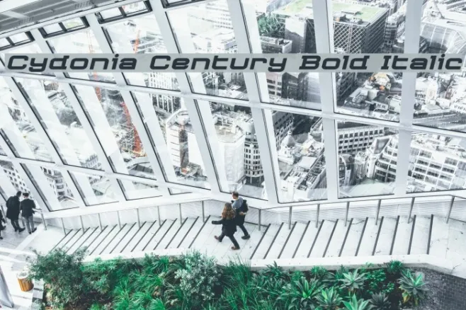Cydonia Century Bold Italic Example 2
