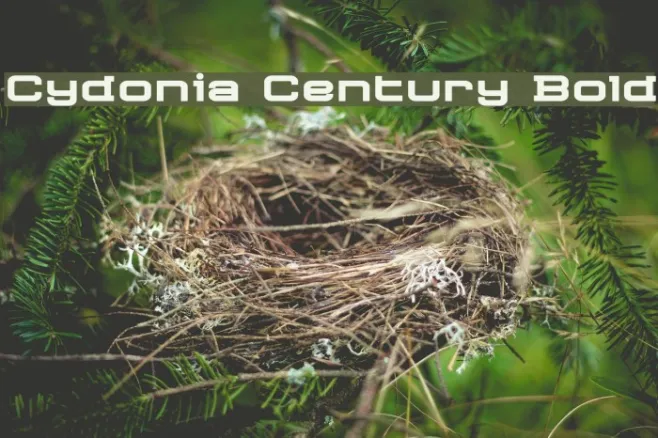 Cydonia Century Bold Example 1