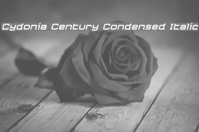 Cydonia Century Condensed Italic Font examples