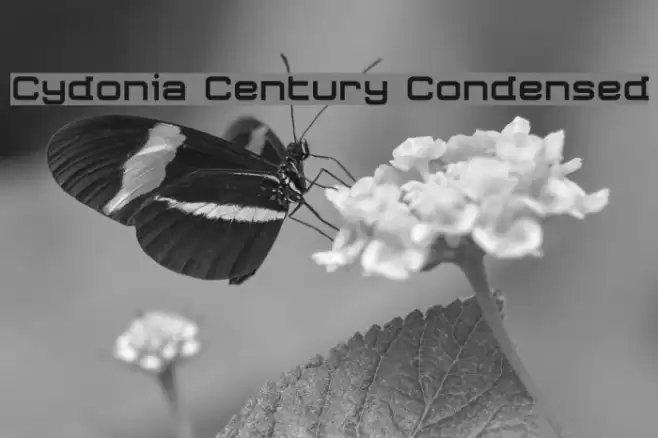 Cydonia Century Condensed Font examples