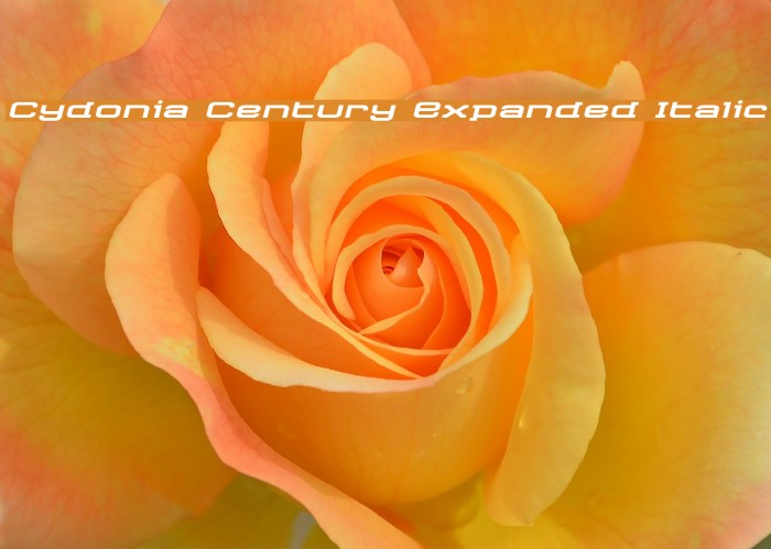 Cydonia Century Expanded Italic Font examples