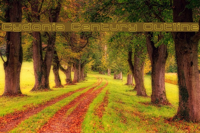 Cydonia Century Outline Font examples