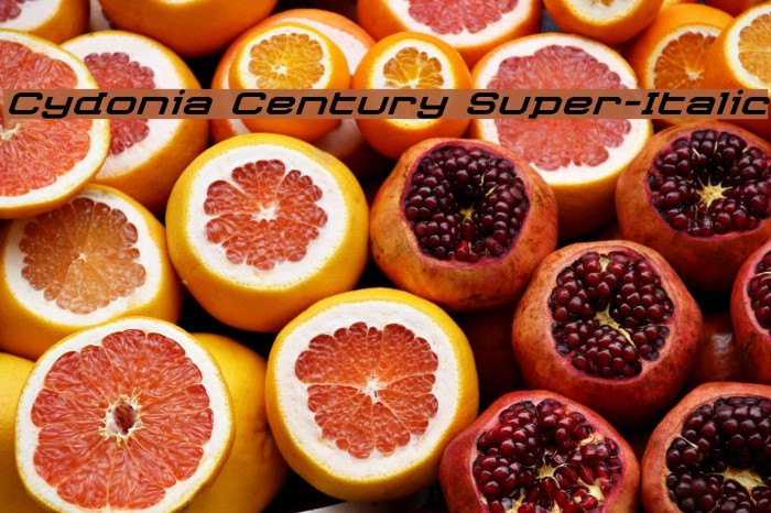 Cydonia Century Super-Italic Example 1