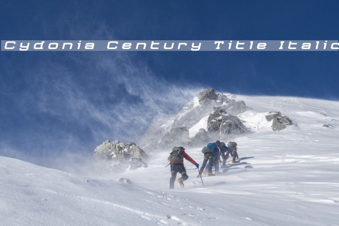 Cydonia Century Title Italic Font examples