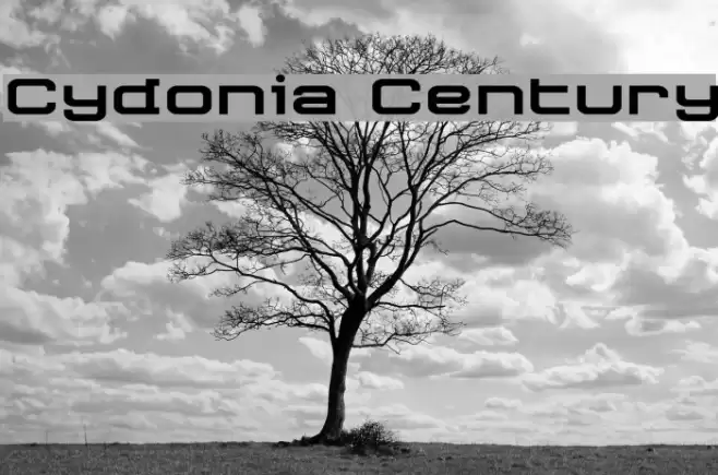 Cydonia Century Font examples