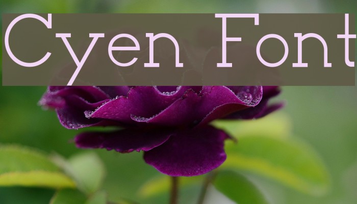 Cyen Font examples