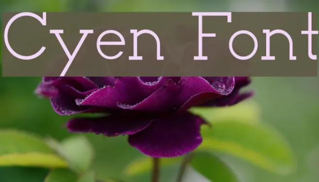 Cyen Example 3