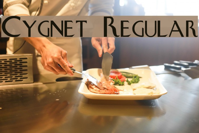 Cygnet Regular Example 3