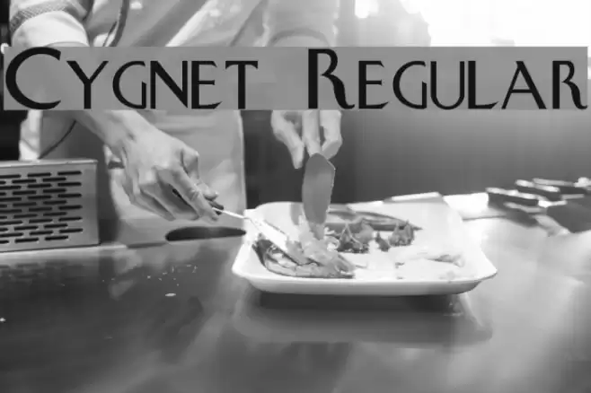 Cygnet Regular Font examples