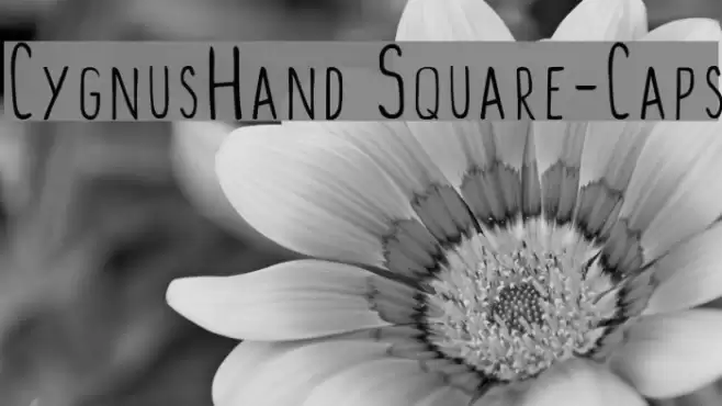 CygnusHand Square-Caps Font examples
