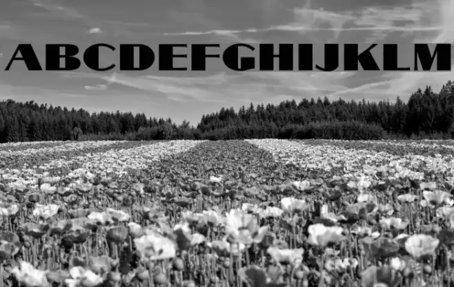 Cyklop-Regular Font examples